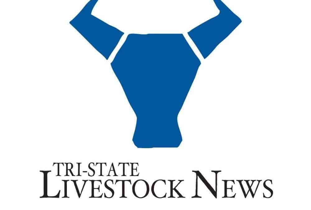 Wyoming Legislators Introduce Bill to Preserve Rancher Choice When Identifying Cattle